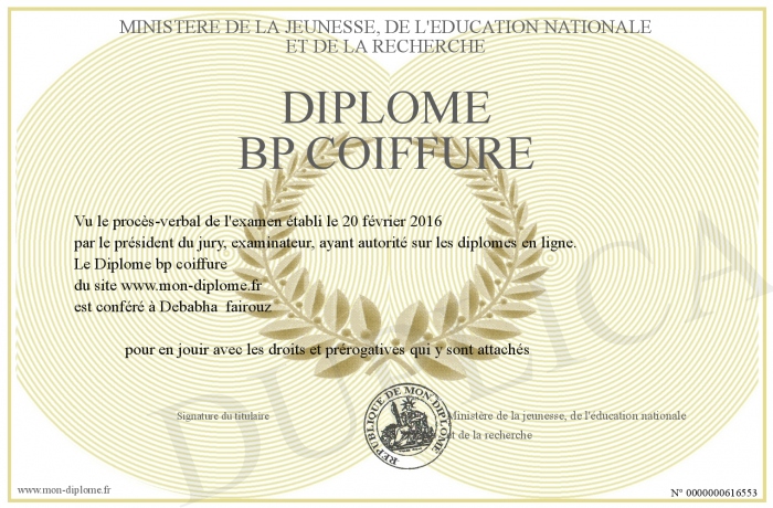 diplome bp